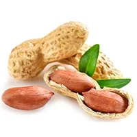 Orzechy arachidowe